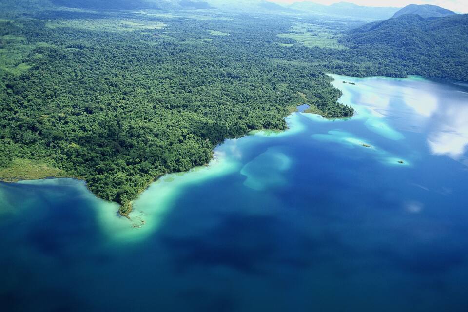 Vista aérea de un bosque costero con aguas azul turquesa y una cadena montañosa distante.
