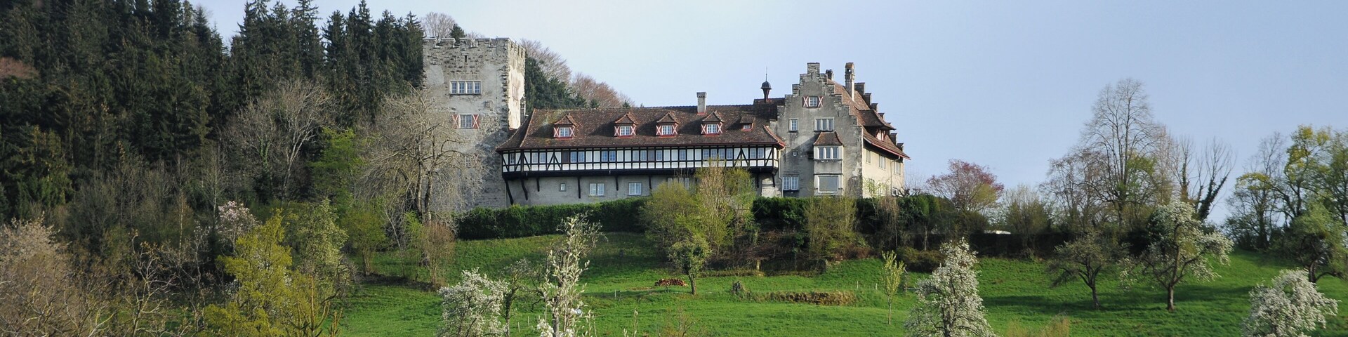 A castle on a hill with a large house in the foreground.