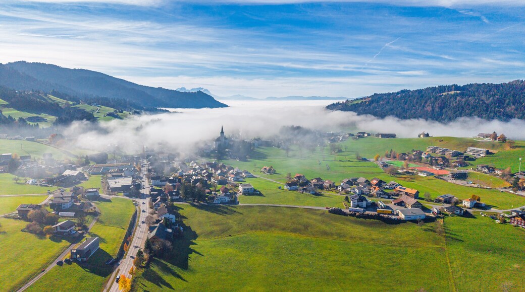 The Village of Alberschwende, Region of Bregenzerwald, State of Vorarlberg, Austria, Drone Photography