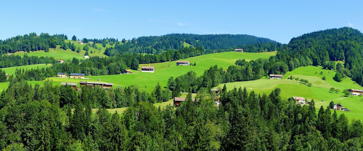 A lush green valley with scattered houses and dense forests.