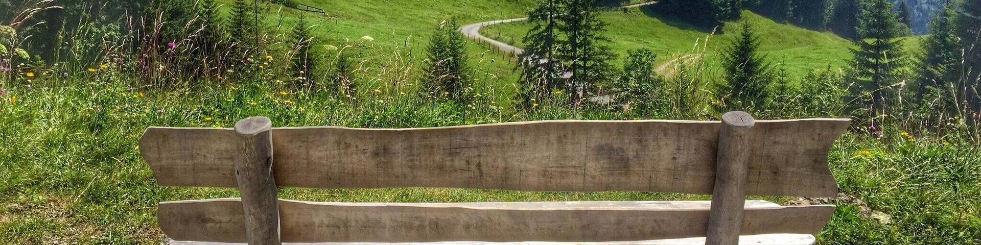 A wooden bench overlooking a mountainous landscape with dense forests and a winding road.