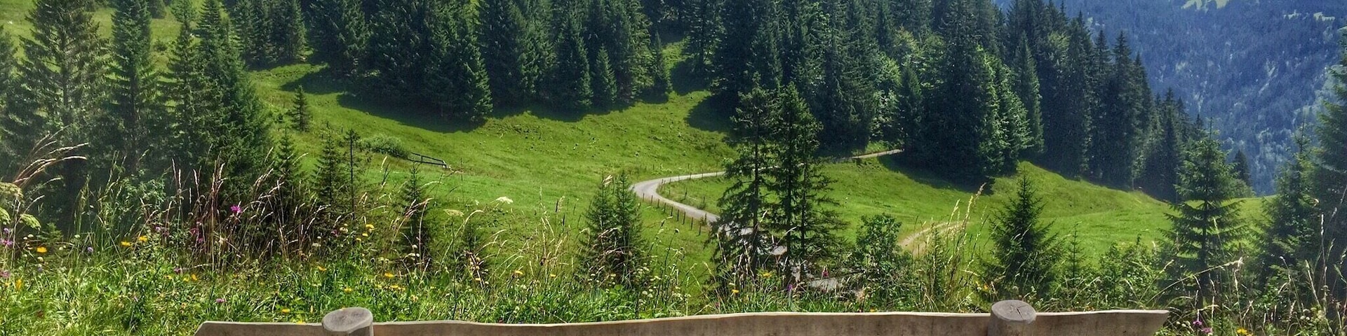 Um banco de madeira com vista para uma paisagem montanhosa, com florestas densas e uma estrada sinuosa.