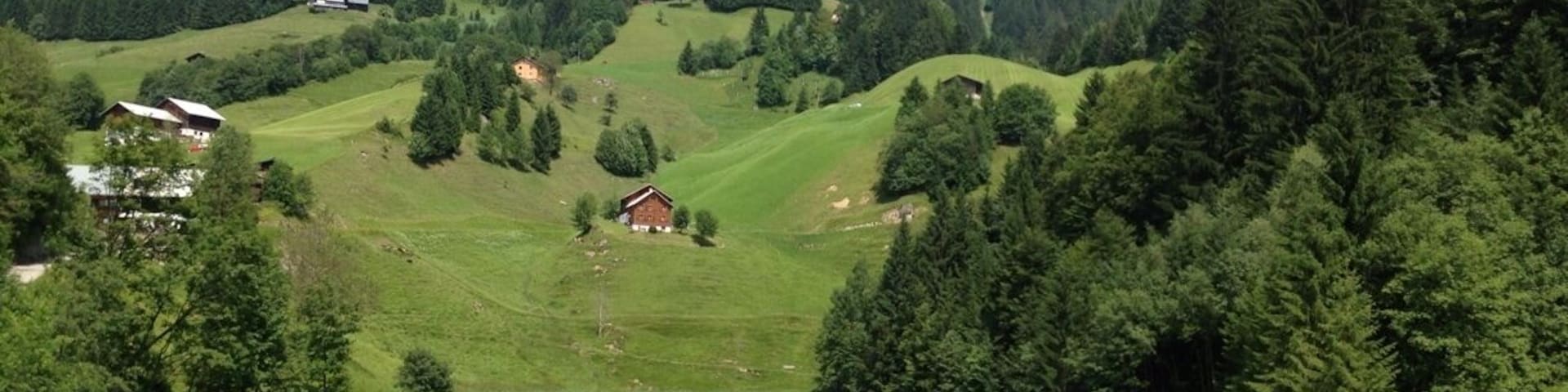 Seewaldsee is a well hidden lake, just below the Seewald mountain. Emerald water, not too cold, gorgeous views. 
It is a 30 min walk from the road between Fontanella and Damühls. You can't get there by car, but these days a small train brings those who are not able to walk and still want to enjoy the lake. 
http://www.seewaldsee.at/  can't #camp there, sorry.