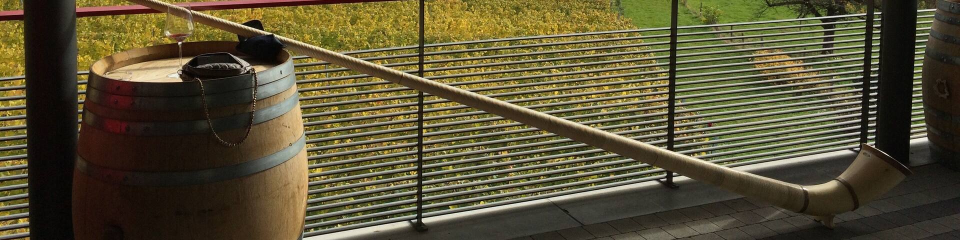 Alphorn in Malians, Switzerland
