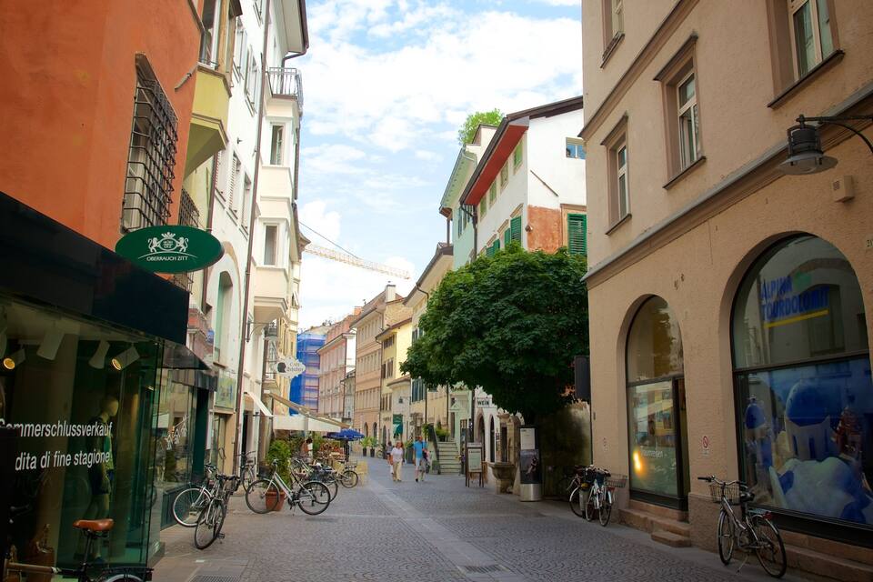 Eine Kopfsteinpflasterstraße säumen bunte Gebäude, Fahrräder sind am Straßenrand abgestellt und ein Baum befindet sich in der Mitte.