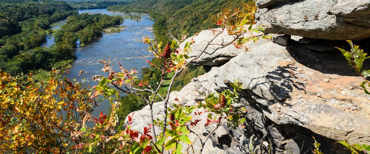 A river valley with dense foliage, a prominent rock formation, and a clear blue sky.
