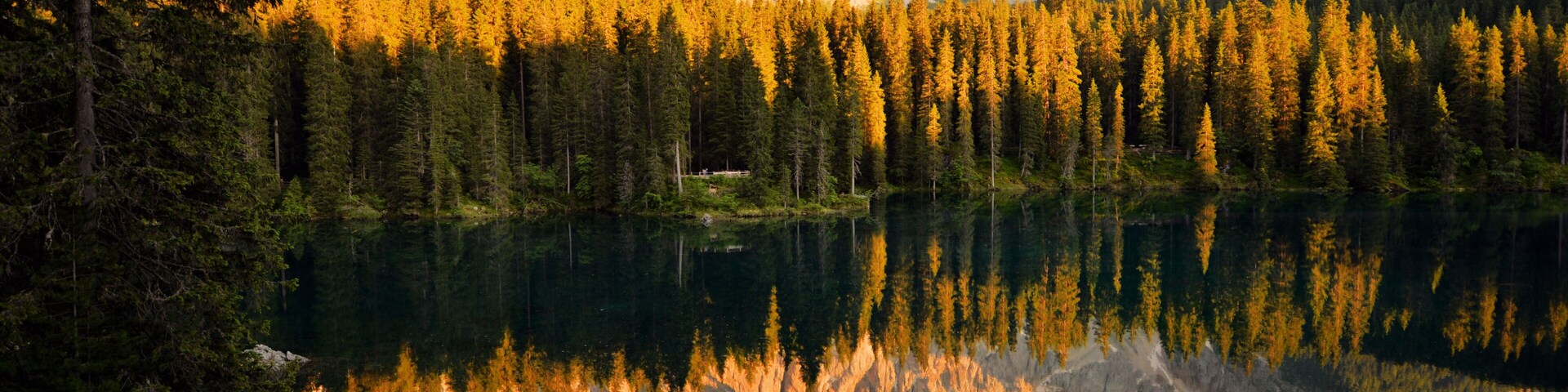 A calm lake reflecting a forest and mountains.
