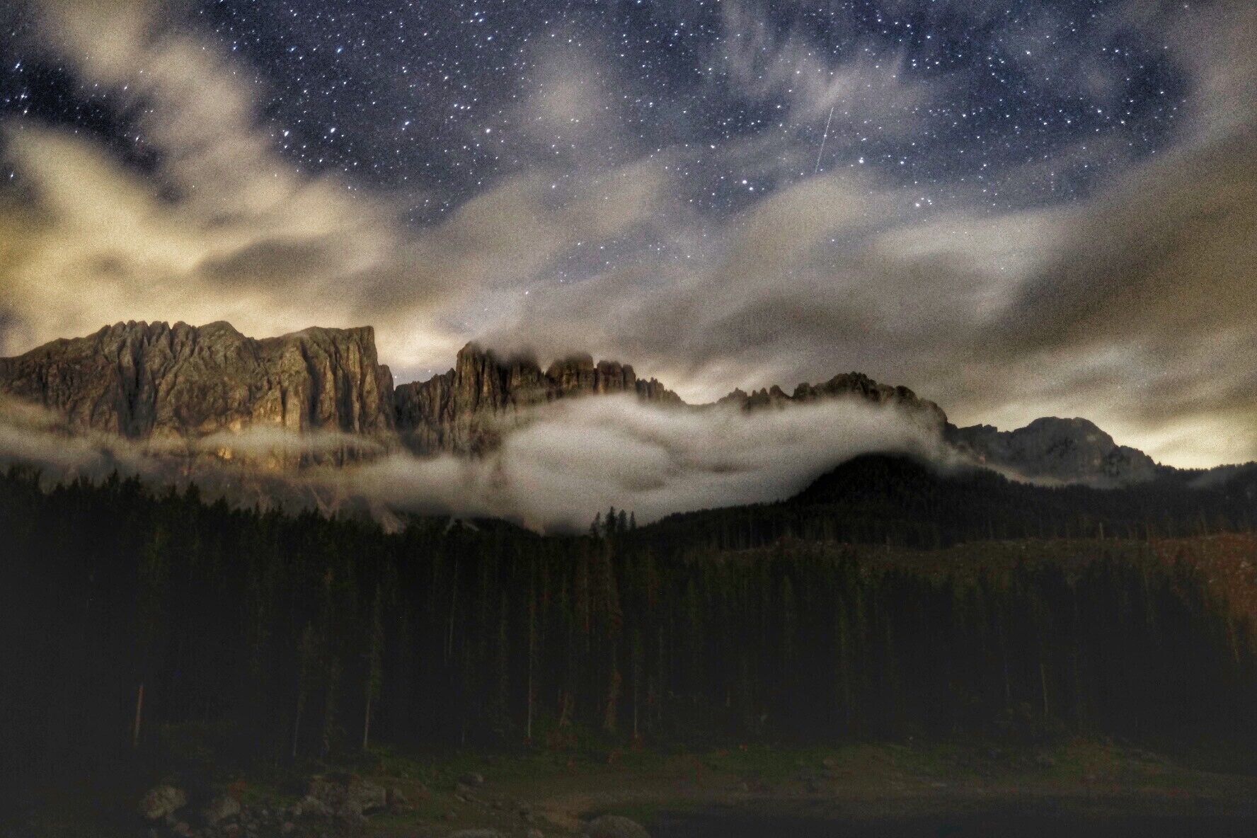 lovely surprise from all that shadow