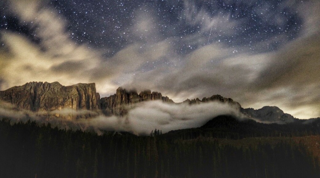 lovely surprise from all that shadow