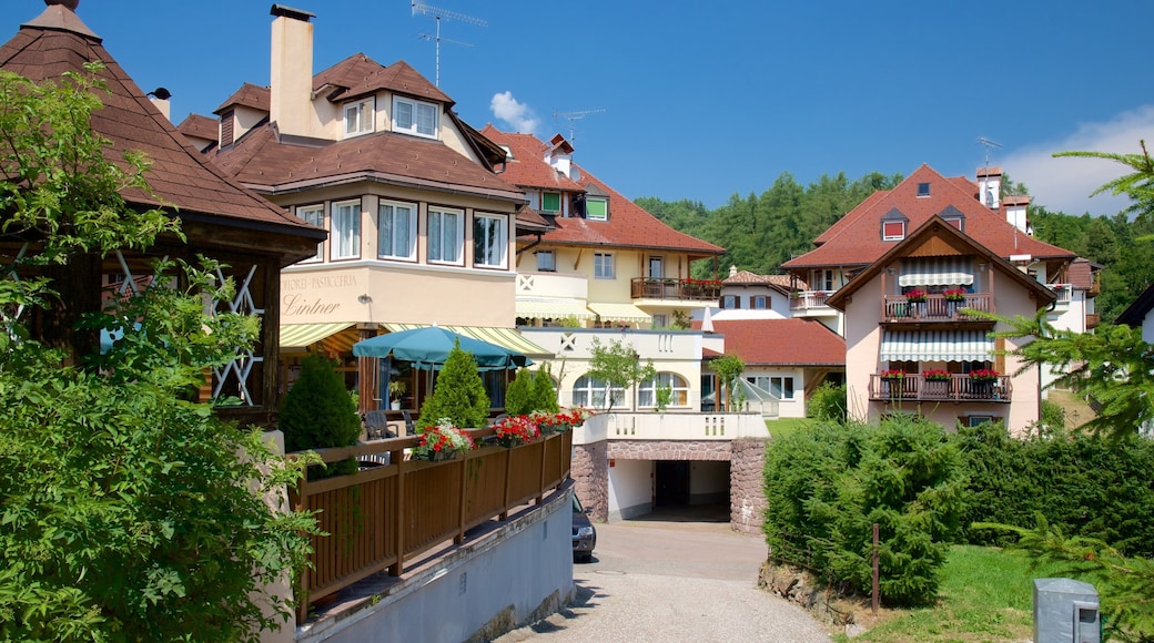 Renon featuring a small town or village