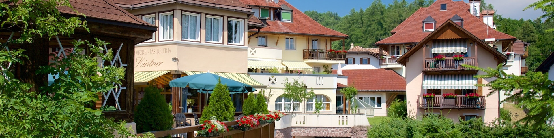 Ritten das einen Kleinstadt oder Dorf