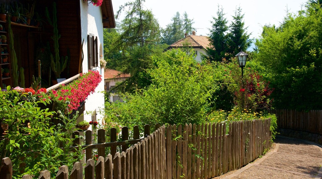 Renon caratteristiche di casa e giardino