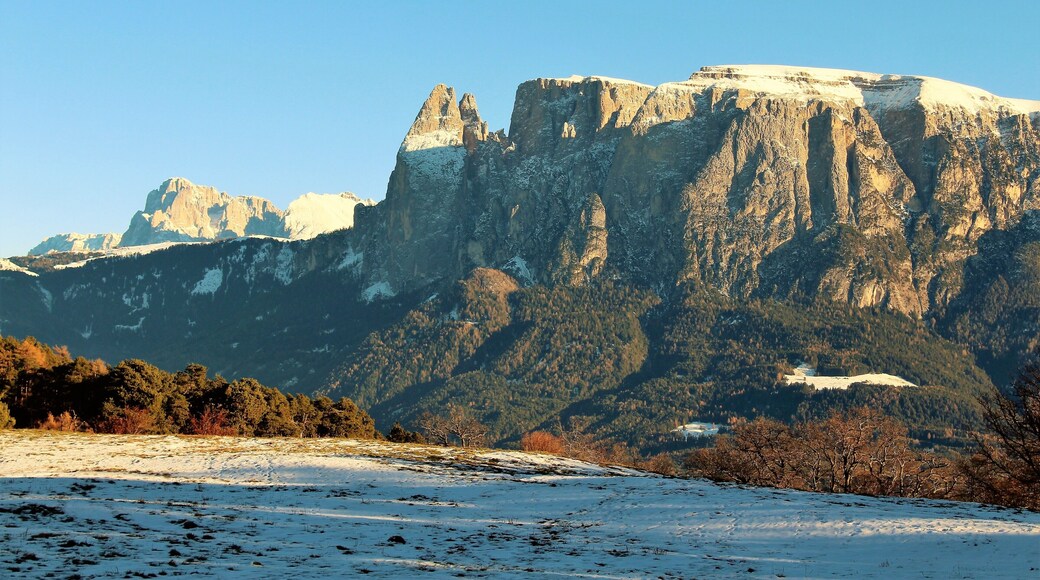 Schlern/Sciliar in the Dolomites! It's highest point is 2,563 m (8409 ft). And one of the most interesting mountains I've seen! My photo here was taken a little north of Bolzano/Bozen. No trip to the Dolomites is complete without visiting this! It's an iconic part of Northern Italy.