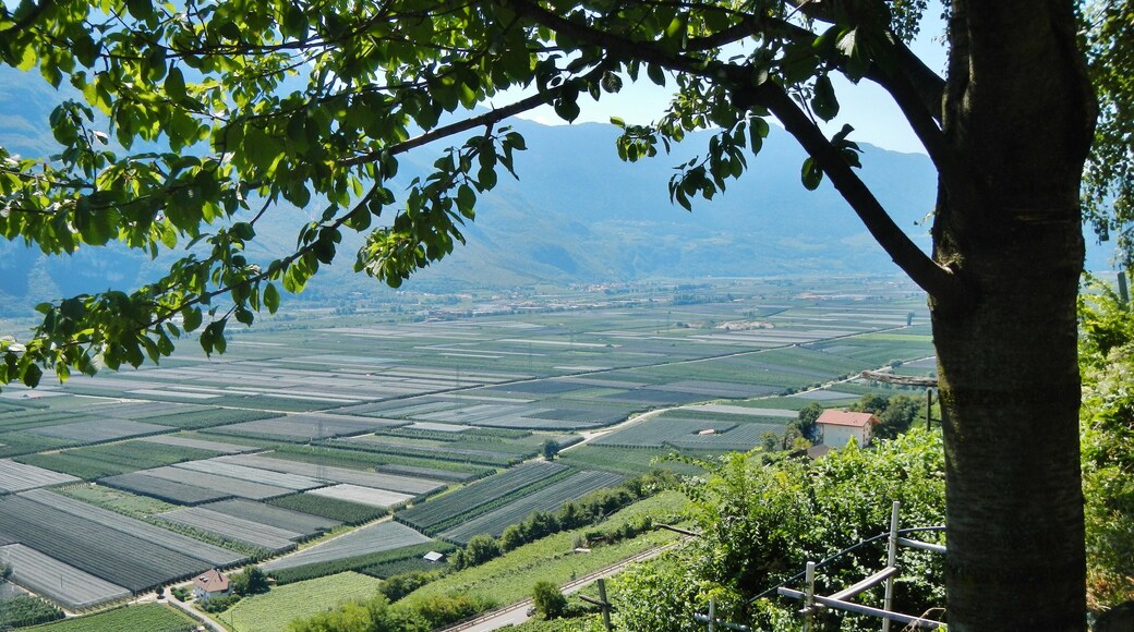 Etschtal Valle dell'Adige Val d'Adige