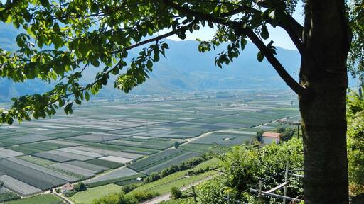 Etschtal Valle dell'Adige Val d'Adige
