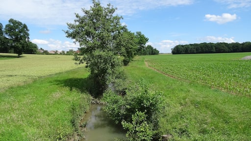 Le Vannetin à Chartronges. (Seine-et-Marne, région Île-de-France).