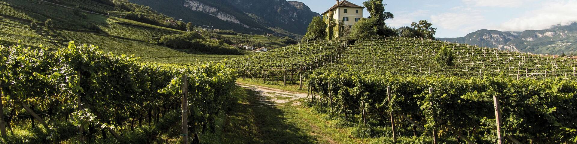 Tenuta Baron Longo Egna Alto Adige