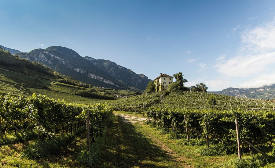 Tenuta Baron Longo Egna Alto Adige