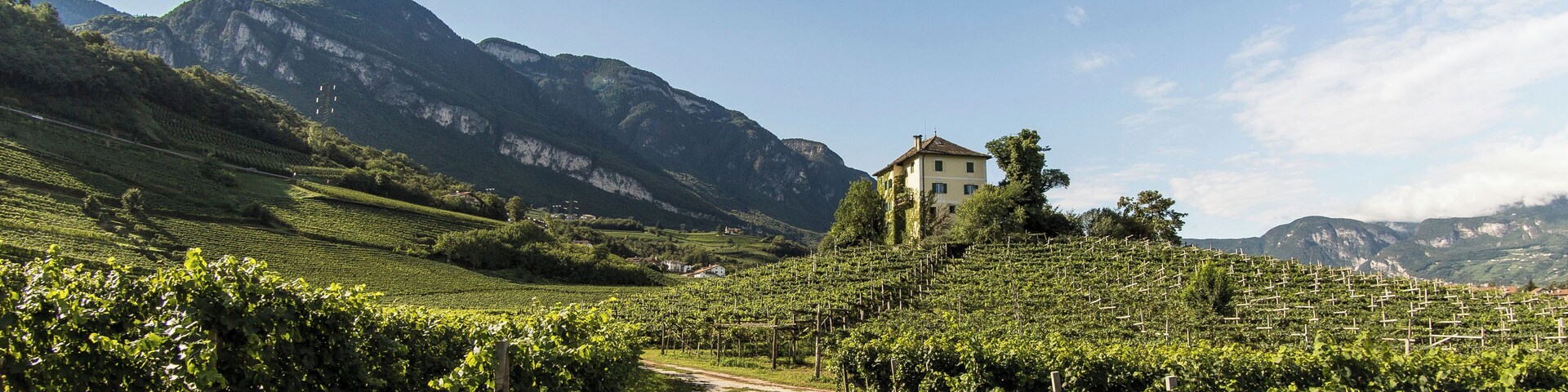 Tenuta Baron Longo Egna Alto Adige