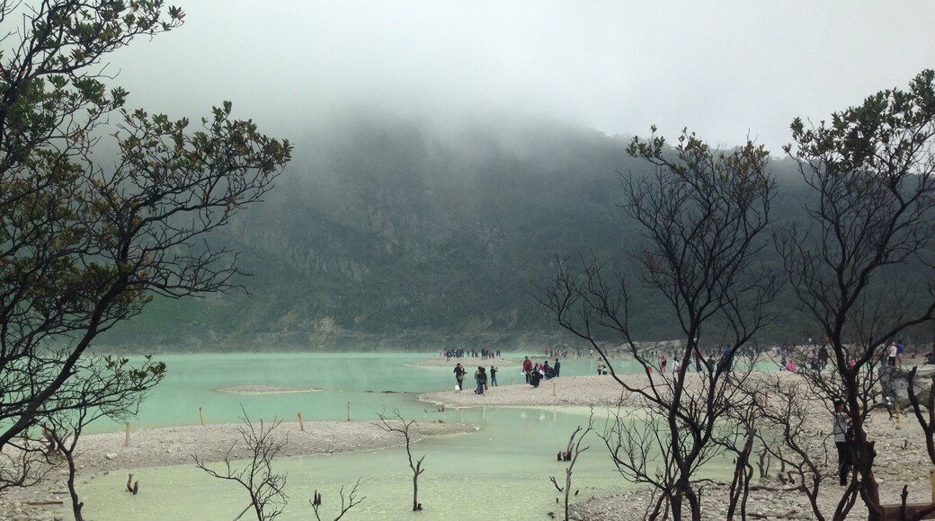 Kawah Putih(white crater) - Indonesia, west jawa, Bandung
An attraction 50km from Bandung. However need 2 hrs to reach there.
Kawah Putih crater lake represents a relatively stable volcanic system with no records of significant activity since around 1600.
The lake is said to have been discovered in 1837 by Dr Franz Wilhelm Junghuhn, a German botanist.