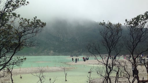 Kawah Putih(white crater) - Indonesia, west jawa, Bandung
An attraction 50km from Bandung. However need 2 hrs to reach there.
Kawah Putih crater lake represents a relatively stable volcanic system with no records of significant activity since around 1600.
The lake is said to have been discovered in 1837 by Dr Franz Wilhelm Junghuhn, a German botanist.