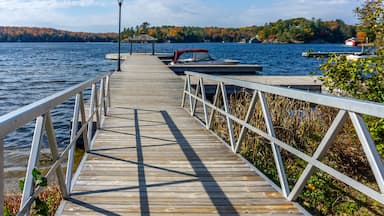 Colors of autumn at Rosseau Waterfront Park, Jim Swift Drive, Rosseau, Seguin Township, Parry Sound District,.