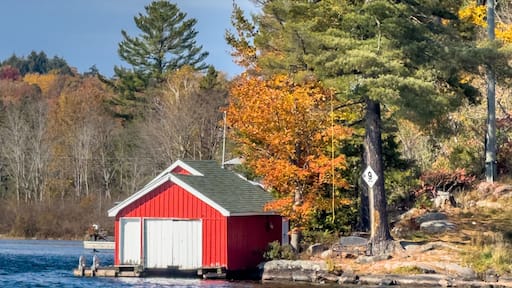 Colors of autumn at Rosseau Waterfront Park, Jim Swift Drive, Rosseau, Seguin Township, Parry Sound District,.