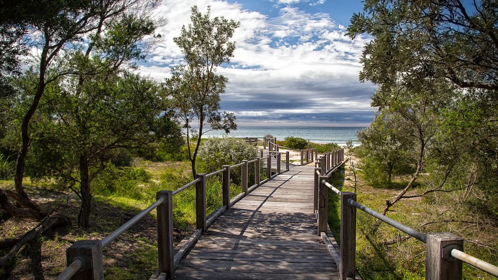 A wooden boardwalk leading to 7 Mile Beach near Gerroa in Australia