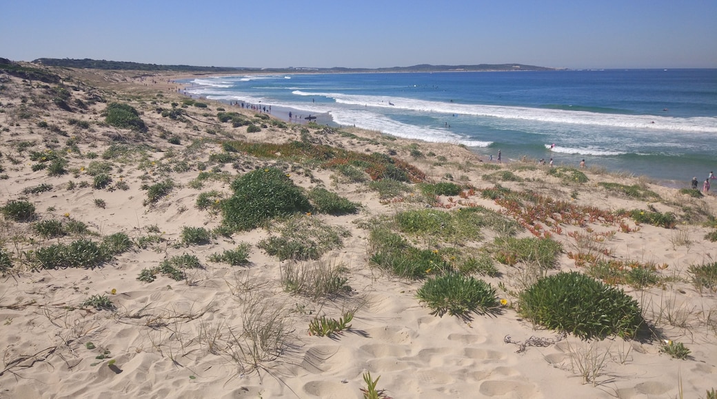 Gerroa beach in New South Wales, Australia