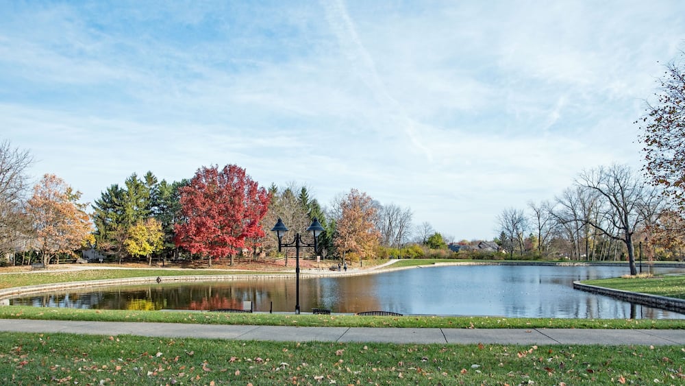 Urban Park Pond in Late Autumn