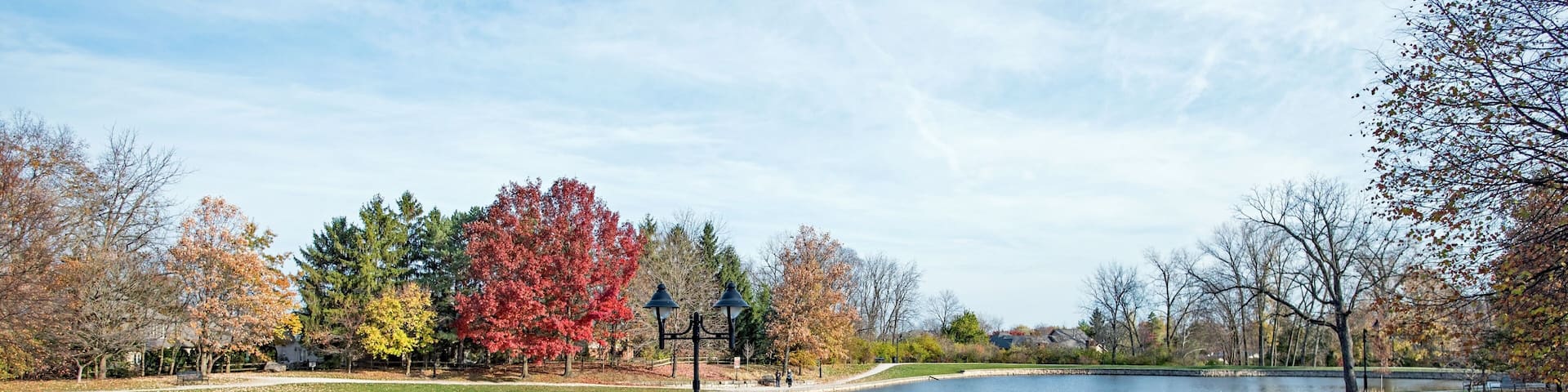 Urban Park Pond in Late Autumn