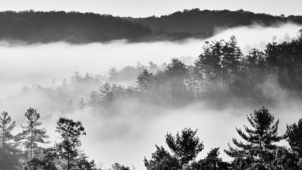 Foggy Sunrise at Red River Gorge, KY