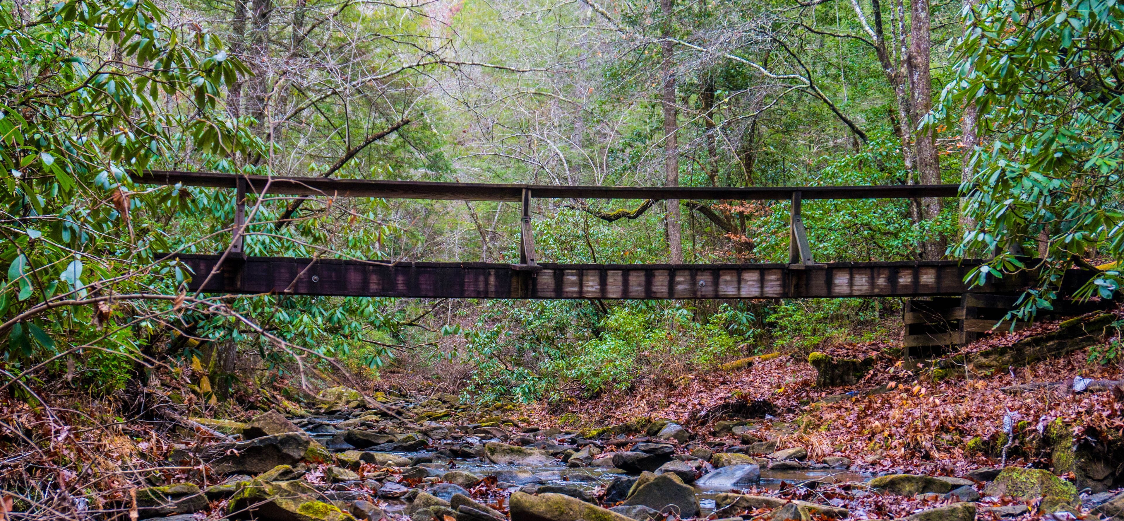 Here we have a wooden bridge stretching over a small babbling brook. Located in the back country of Kentucky on a trail  known as Dog Slaughter.