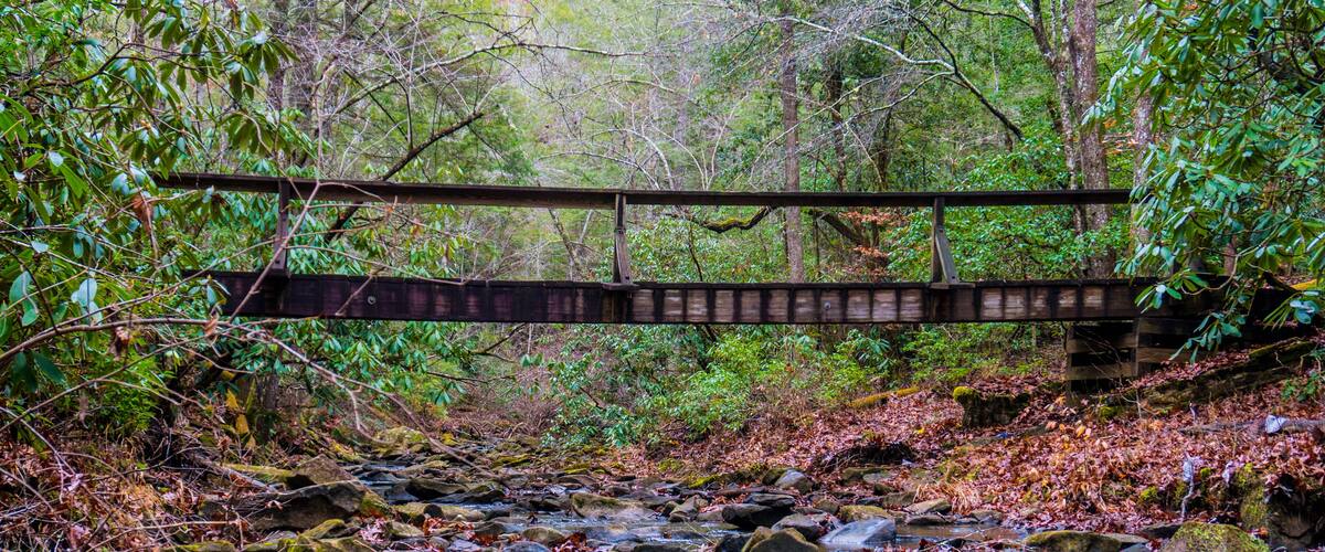 Here we have a wooden bridge stretching over a small babbling brook. Located in the back country of Kentucky on a trail known as Dog Slaughter.