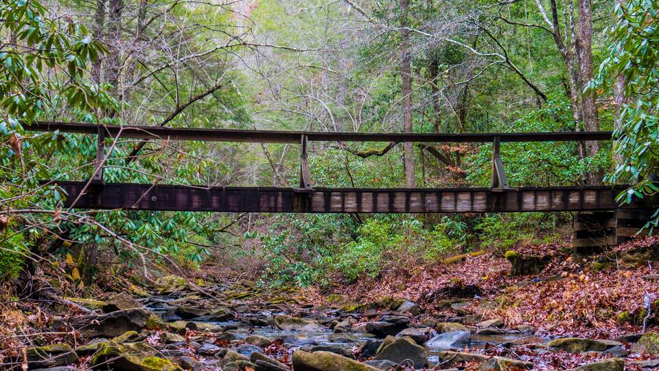 A wooden bridge over a rocky stream in a forested area.