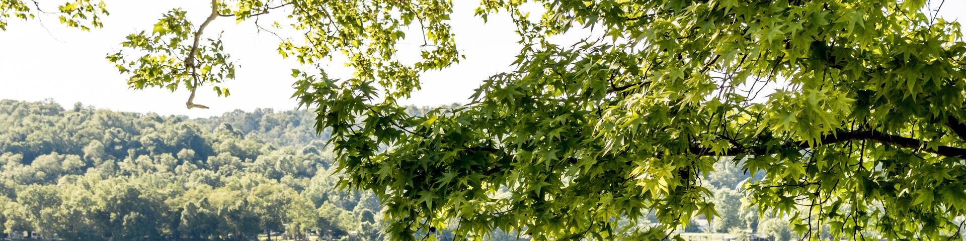 Augusta Kentucky Ferry Crossing Ohio River