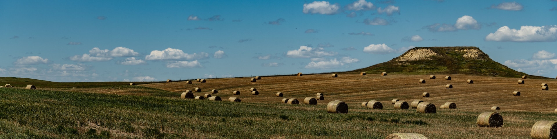 Harvesting large round bales of hay in a field under a clear blue sky. View  near West Stark, North Dakota