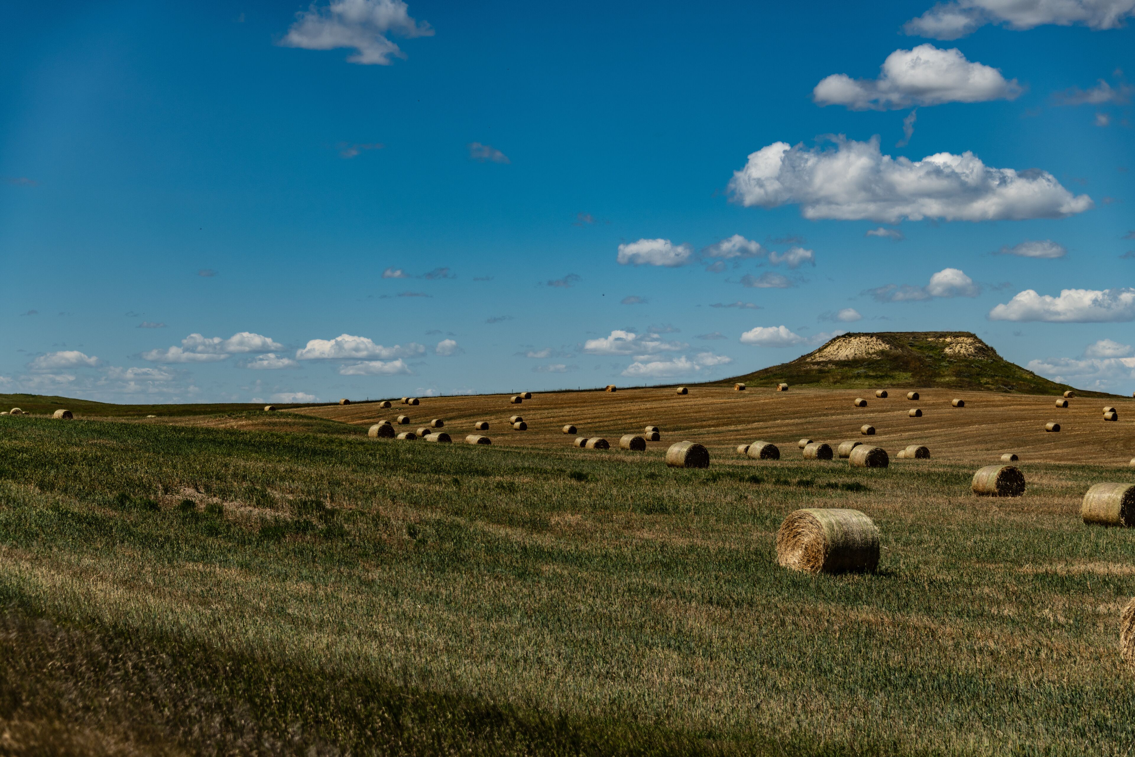 A field of hay bales on a grassy hill with a clear blue sky and scattered clouds.