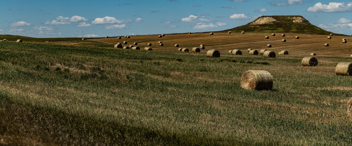 A field of hay bales on a grassy hill with a clear blue sky and scattered clouds.