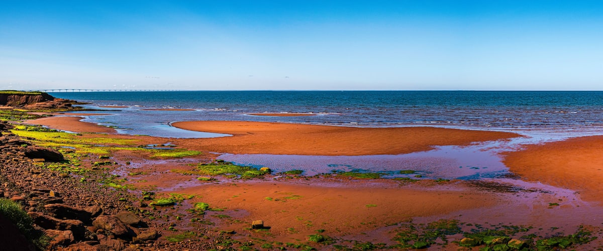 A coastal landscape with a sandy beach, green algae, and a bridge in the distance.