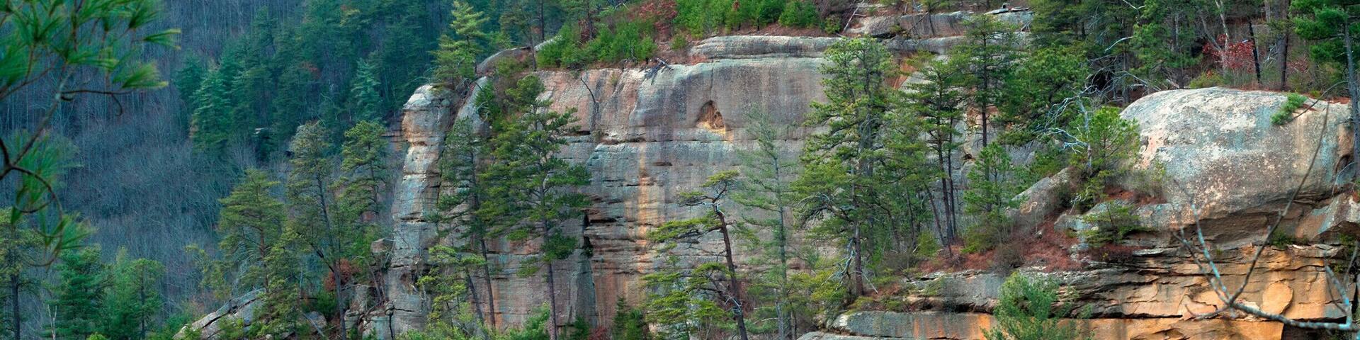 Looking into Wolf Pen Branch in the Red River Gorge, Kentucky