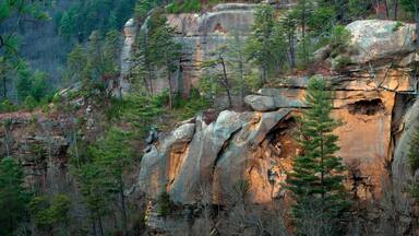 Looking into Wolf Pen Branch in the Red River Gorge, Kentucky