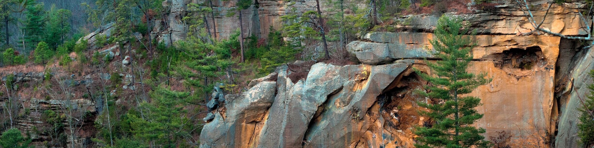 Looking into Wolf Pen Branch in the Red River Gorge, Kentucky