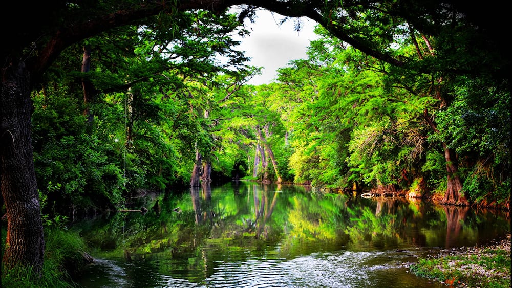 Medina River Castroville Texas