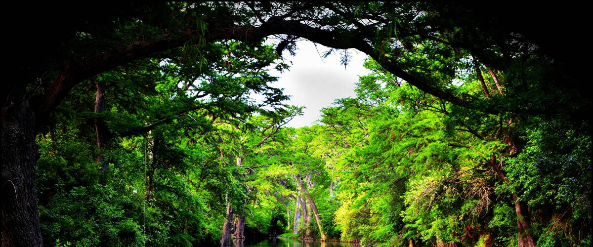 Medina River Castroville Texas