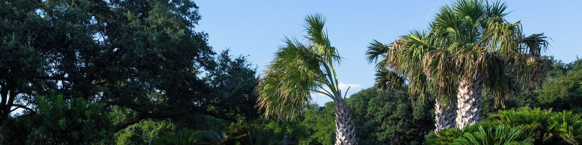 SanAntonio_Dominion_6338712_04