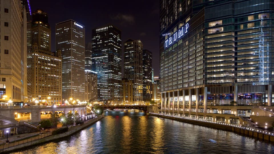 Lake Michigan showing city views, a river or creek and night scenes