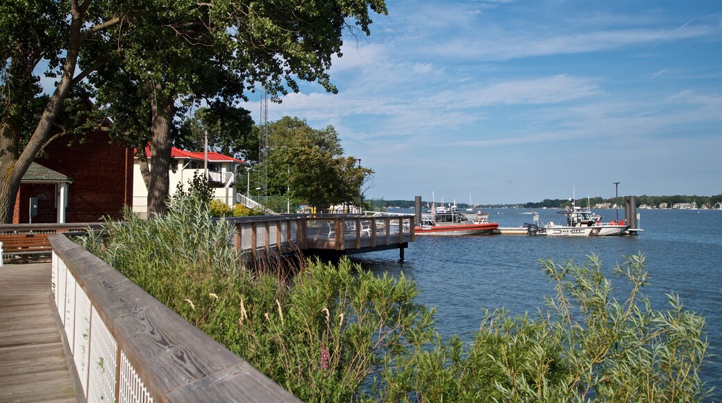 Lake Michigan showing a bay or harbor