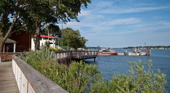 Lake Michigan showing a bay or harbor