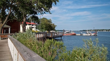 Lake Michigan showing a bay or harbor